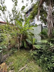 Owen Road (D8), Terrace #448471381